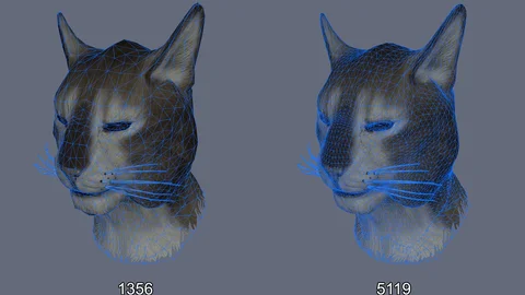 Extra image